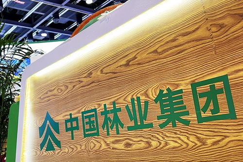 中林集團(tuán)子公司商票逾期風(fēng)波加劇，原董事長遭起訴，旅游業(yè)務(wù)何去何從？