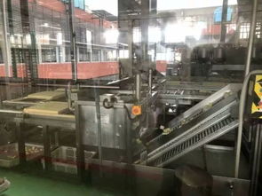 104班云朵家研學(xué)之旅 探秘祖名豆腐廠，品味傳統(tǒng)工藝的現(xiàn)代傳承